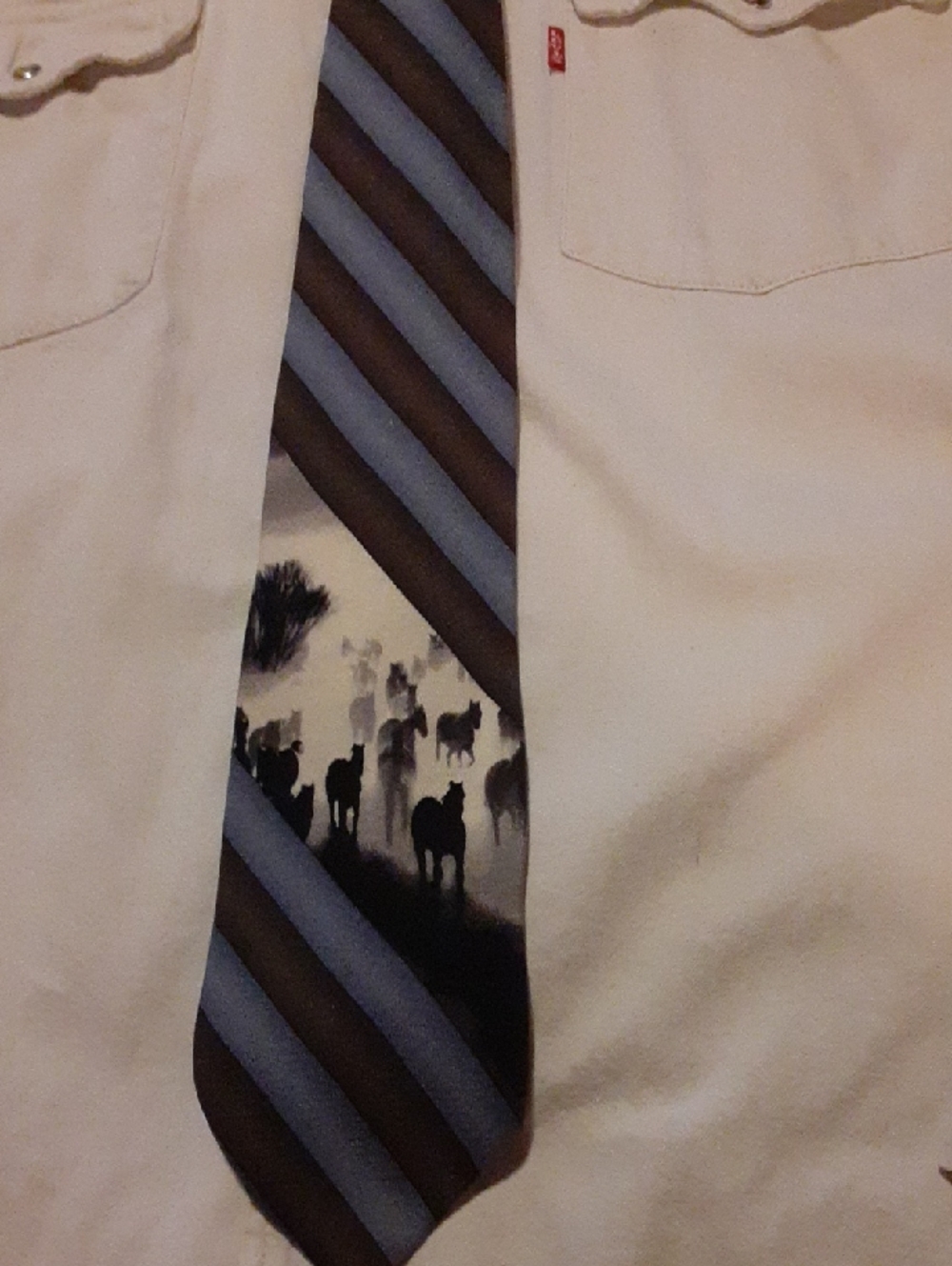 Roper Brown and Light Blue Diagonal Stripe Tie